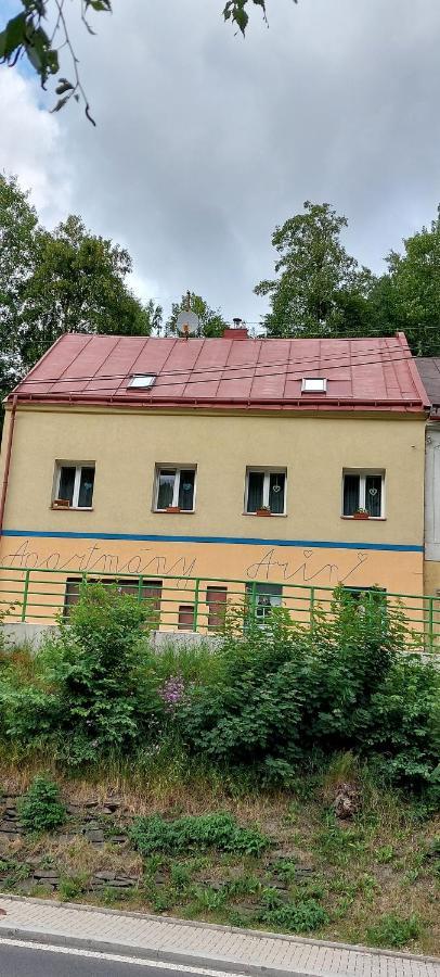 Prazdninovy Byt Arin Lägenhet Jáchymov Exteriör bild